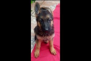 Miniatura publicación