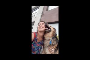 Miniatura publicación