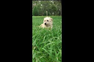 Miniatura publicación