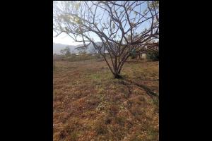 Terrenos Venta Salta Terrenos | Vdo. Lote B° Las Vertientes. C/Esc.... - u$s25000