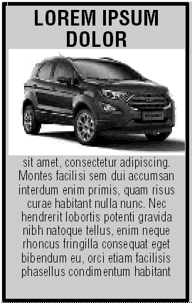 Modelo Anuncio Premium